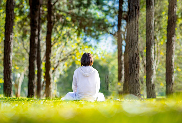 Meditation-in-the-woods
