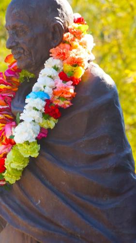 Gandhi Jayanti and MK Gandhi Lecture 2017 (91)