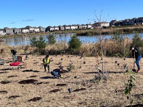 2024-10-24-Tree-Planting-12