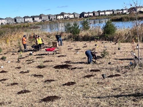 2024-10-24-Tree-Planting-18