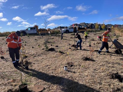 2024-10-24-Tree-Planting-19