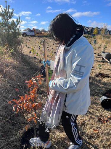 2024-10-24-Tree-Planting-24