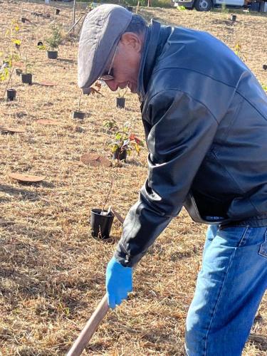 2024-10-24-Tree-Planting-26