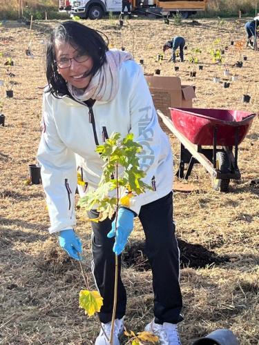 2024-10-24-Tree-Planting-27