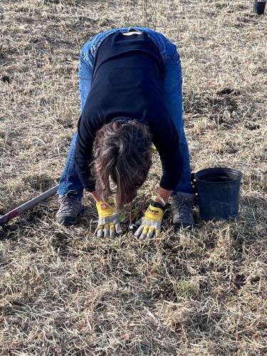 2024-10-24-Tree-Planting-29