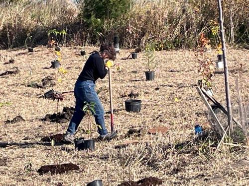 2024-10-24-Tree-Planting-7