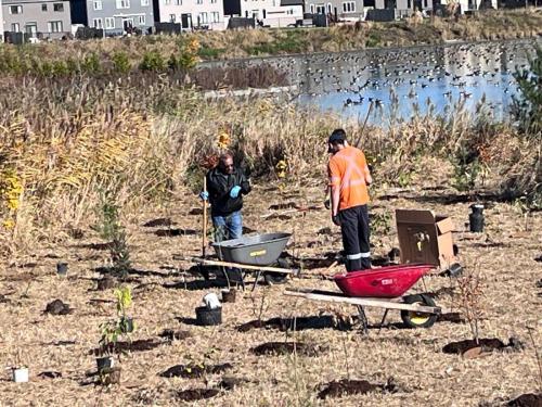 2024-10-24-Tree-Planting-9