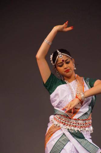 MK Gandhi Annual Lecture 2019 (8)