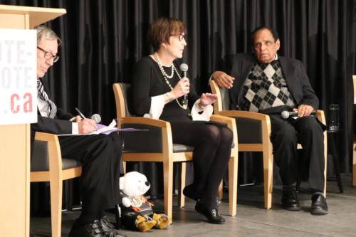 Panel Discussion - Democracy, Non-violent struggle for recognition 2019-05-13 (198)